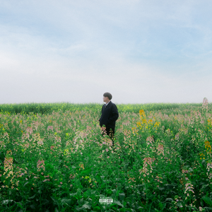 李月华电影在线观看播放
